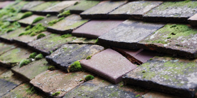 Water Stratford roof repair costs